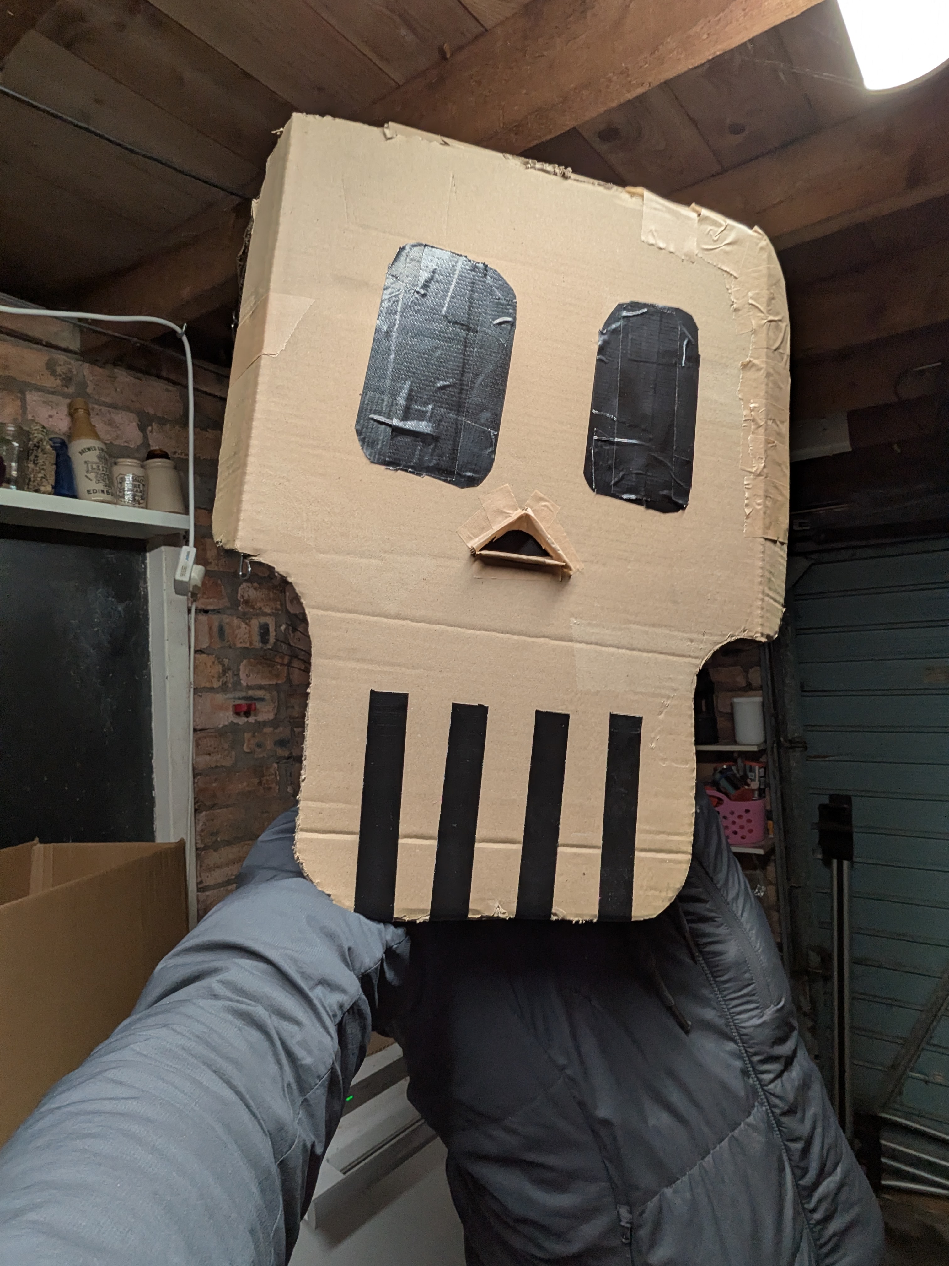 A cardboard skull helmet selfie